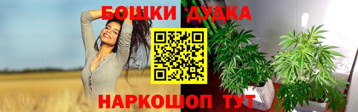 Конопля OG Kush  Шишки марихуана план  Вход с VPN  Канабис VHQ  Энгельс 